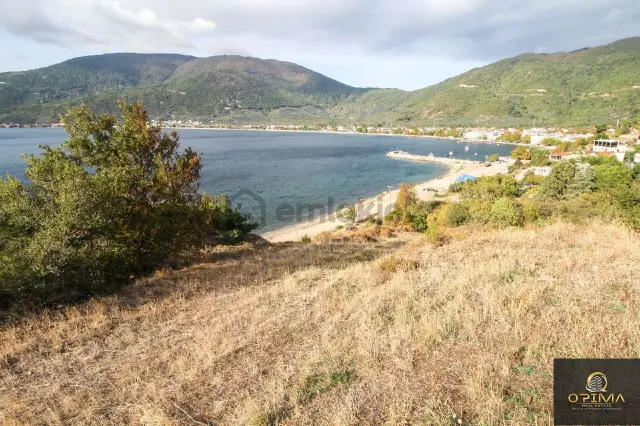 Opima Emlaktan Ocaklarda Şahane Deniz Manzaralı Satılık Zeytinlik 1
