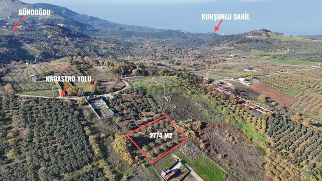 Gündoğdu Dürdane Mevkii 2.774 M2 Müstakil Parsel Satılık Tarla 3