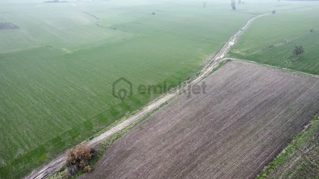 ✴️ Balıkesir Gönen Gökçesuosmanpazar Da İki Yola Cephe Satılık Tarla 2