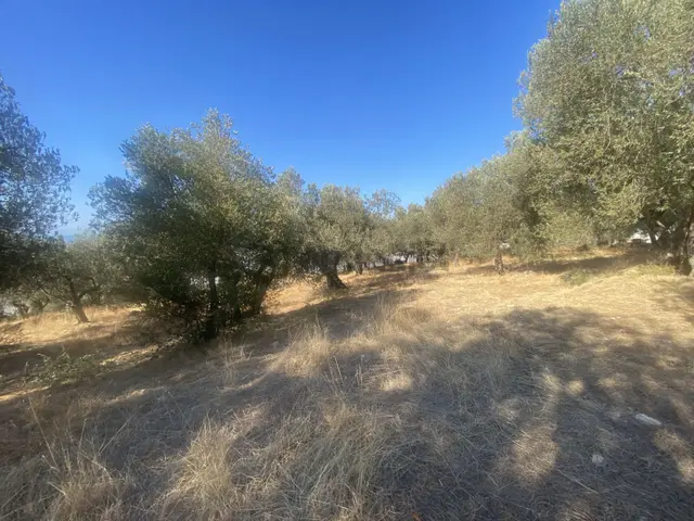 Balıkesir Gömeç Te Satılık 3,716 Metre Kare Villa İmarlı Arsa 4