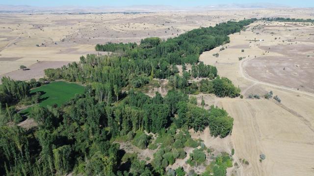 Konya / Akören / Tülce De 2.502 M² Müstakil Kavaklık Bahçe 3
