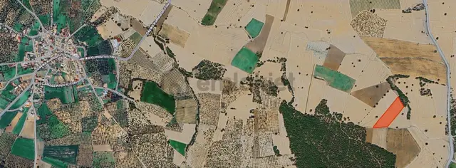 Çanakkale Ezine'de,türkiye'nin Dev Holdingi İle Ortak Olma Şansı 3