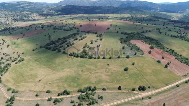 Konya / Ilgın / Mahmuthisar Mahallesinde 5.500 M² Müstakil Tapulu Tarla 4