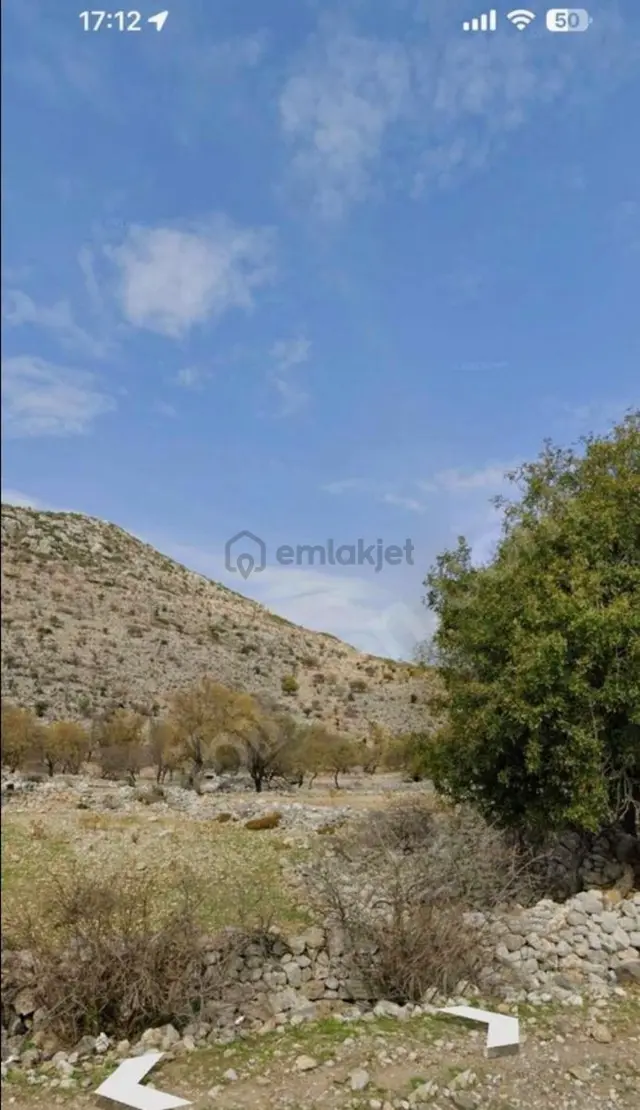 Taşlıcada Yatırımlık - Tiny House Uyumlu 203 M² Fırsat Parsel! 1