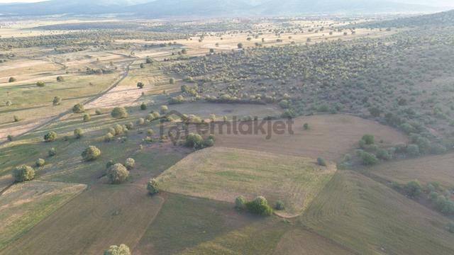 Konya / Akören / Hacılar Mahallesinde 6.125 M² Müstakil Tapulu Tarla 3