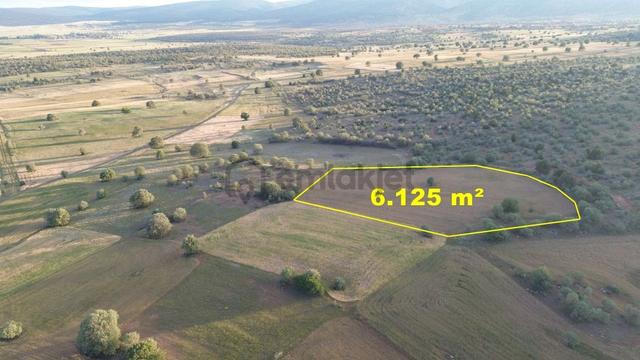 Konya / Akören / Hacılar Mahallesinde 6.125 M² Müstakil Tapulu Tarla 5