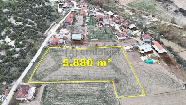 Uşak / Ulubey / Aksaz Mahallesinde 5.880 M² Müstakil Tapulu Tarla 4