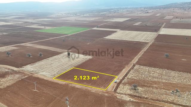 Konya / Akören / Hacılar Mahallesinde 2.123 M² Müstakil Tapulu Tarla 5