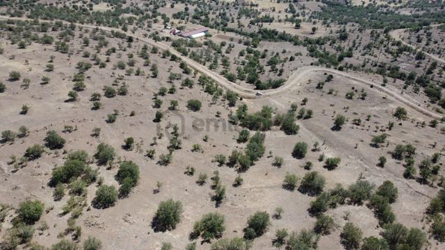 Konya / Akören / Kayasu Mahallesinde 16.195 M² Müstakil Tapulu Tarla 2