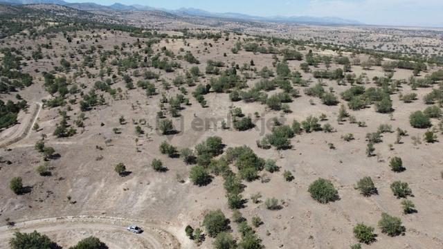 Konya / Akören / Kayasu Mahallesinde 16.195 M² Müstakil Tapulu Tarla 5