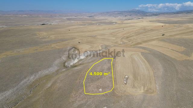 Karaman / Ayrancı / Melikli De 4.500 M² Müstakil Tarla 5