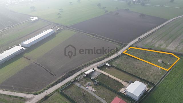 İzmir Menderes Merkezde 2600m2 Sondajlı Asvalt Yolu Depo Atolye Sera Yeri 5
