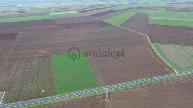Kırklareli Lüleburgaz Ahmetbeyde Satılık 187 Dönüm Arazi 3