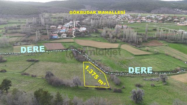 Konya / Ilgın / Gökbudak Mahallesinde 1.375 M² Müstakil Tapulu Tarla 1