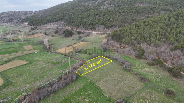 Konya / Ilgın / Gökbudak Mahallesinde 1.375 M² Müstakil Tapulu Tarla 2