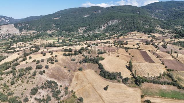 Amasya / Hamamözü / Dede Köy De 4.766 M² Müstakil Tarla 1