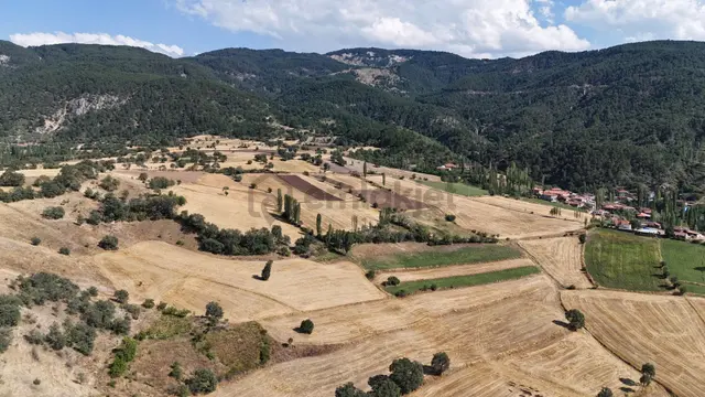 Amasya / Hamamözü / Dede Köy De 4.766 M² Müstakil Tarla 4
