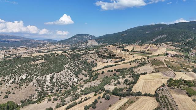 Amasya / Hamamözü / Dede Köy De 4.766 M² Müstakil Tarla 2