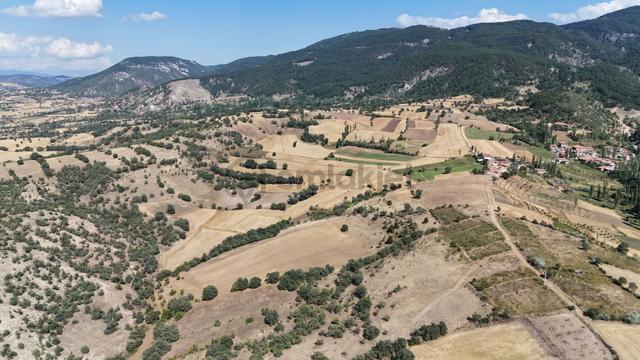 Amasya / Hamamözü / Dede Köy De 4.766 M² Müstakil Tarla 5
