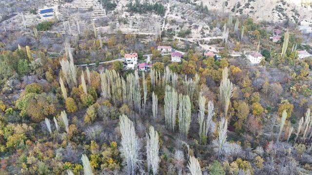 Karaman / Ermenek / Elmayurdu Mahallesinde 404 M² Müstakil Tapulu Bahçe 4