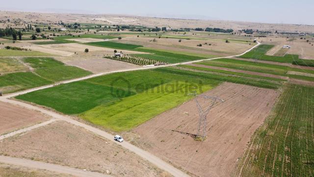 Konya / Akören / Tülce Mahallesinde 2.331 M² Müstakil Tapulu Tarla 2
