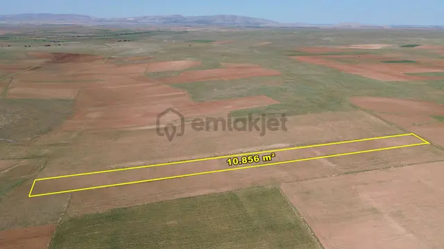 Konya / Akören / Orhaniye Mahallesinde 10.856 M² Müstakil Tapulu Tarla 3
