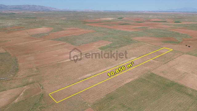 Konya / Akören / Orhaniye Mahallesinde 10.856 M² Müstakil Tapulu Tarla 5