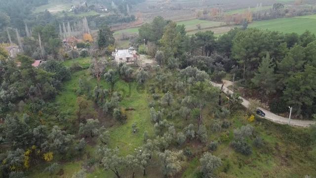 S. Kemer Korubükü'nde Köyiçi İmarlı 1439 M2 Satılık Arsa 4
