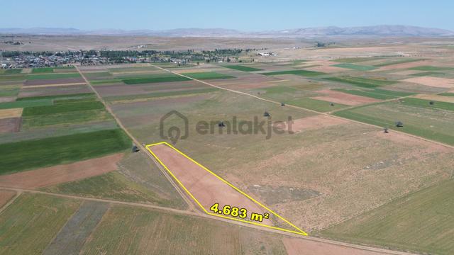 Konya / Akören / Orhaniye Mahallesinde 4.683 M² Müstakil Tapulu Tarla 3