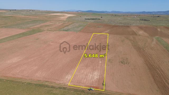 Konya / Akören / Orhaniye Tarıma Ve Hayvancılığa Uygun 5.648 M² Tarla 3