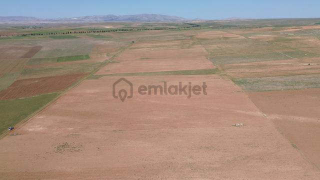 Konya / Akören / Orhaniye Tarıma Ve Hayvancılığa Uygun 5.648 M² Tarla 5