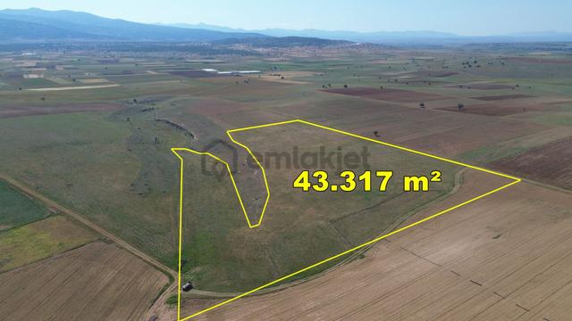 Konya / Akören / Orhaniye Mahallesinde 43.317 M² Müstakil Tapulu Tarla 1