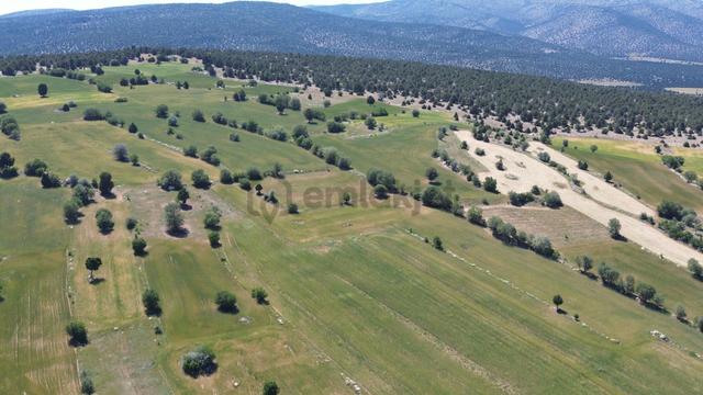Konya / Akören / Alan Mahallesinde 2.954 M² Müstakil Tapulu Tarla 4