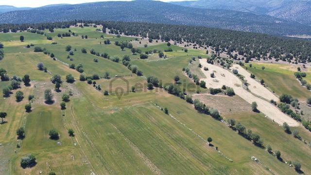 Konya / Akören / Alan Mahallesinde 2.954 M² Müstakil Tapulu Tarla 3