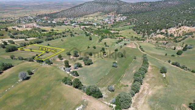 Konya / Akören / Alan Mahallesinde 2.954 M² Müstakil Tapulu Tarla 2