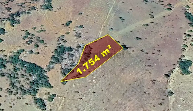 Konya / Hadim / Göynükkışla Mahallesinde 1.754 M² Müstakil Tapulu Tarla 3