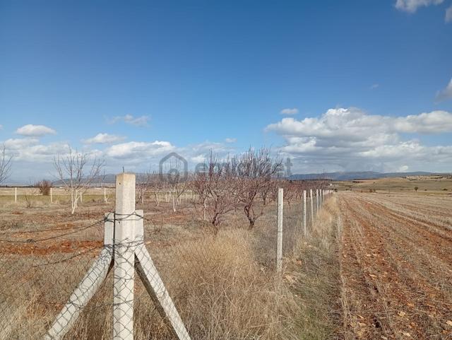 Antalya Korkuteli Kevzer Mahallesinde Satılık Tarla No.20573 5