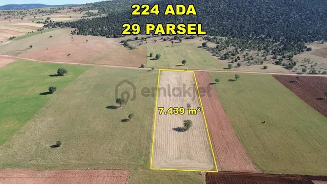Konya / Akören / Alan 7.439 M² Müstakil Verimli Tarla 2