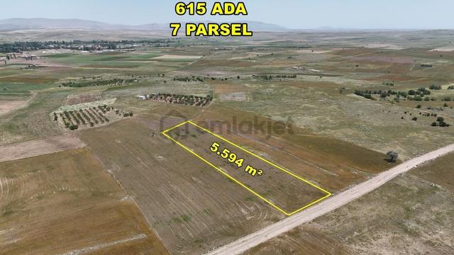Konya / Akören / Tülce 5.594 M² Müstakil Tapulu Tarla 4
