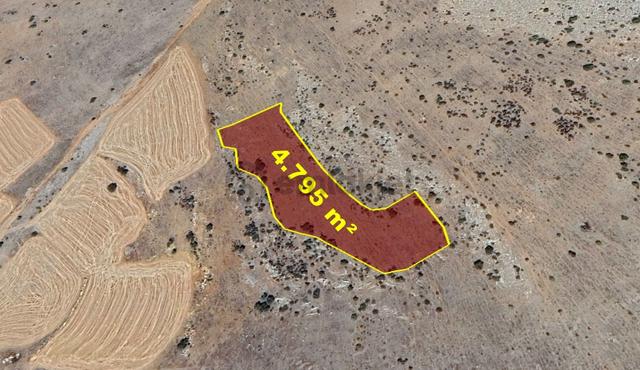 Karaman / Merkez / Başkışla Mahallesinde 4.795 M² Müstakil Tapulu Tarla 3