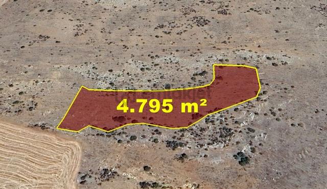 Karaman / Merkez / Başkışla Mahallesinde 4.795 M² Müstakil Tapulu Tarla 2