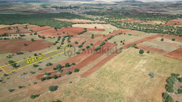 Konya / Akören / Karahüyük De 4.581 M² Müstakil Fırsat Tarla 3