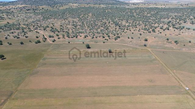 Akören Karahüyük Konumu Harika 2.726 M² Tek Tapu Tarla 3