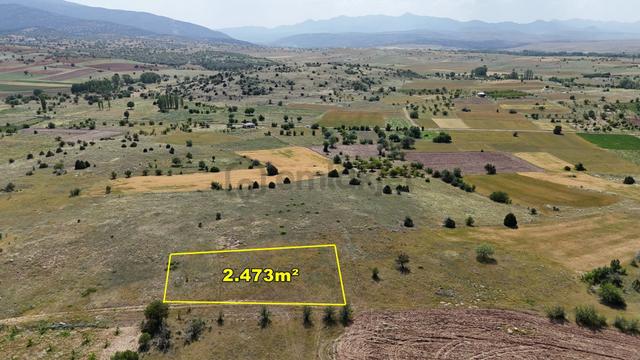 Konya / Akören / Tülce'de 2.473 M² Müstakil Tapulu Tarım Arazisi 1