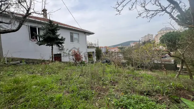 İstanbul'un Göbeğinde Doğal Yaşam Fırsatı 3