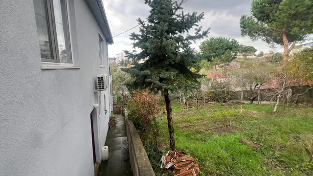 İstanbul'un Göbeğinde Doğal Yaşam Fırsatı 4