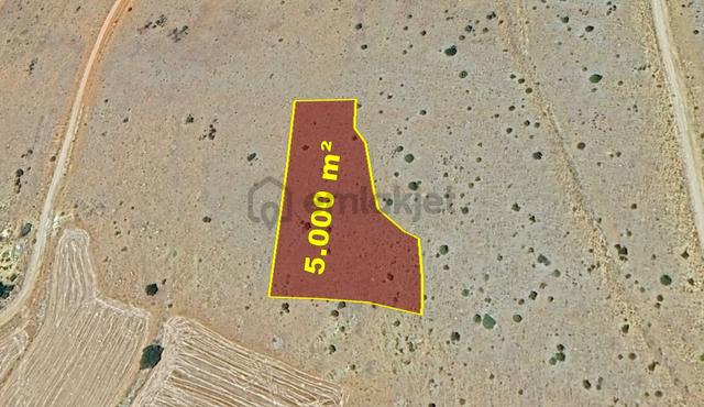 Karaman / Merkez / Başkışla Mahallesinde 5.000 M² Müstakil Tapulu 3