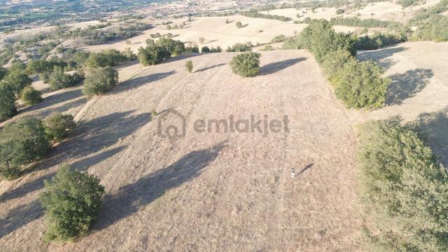 Amasya / Hamamözü / Damladere De 1.107 M² Müstakil Tarla 4