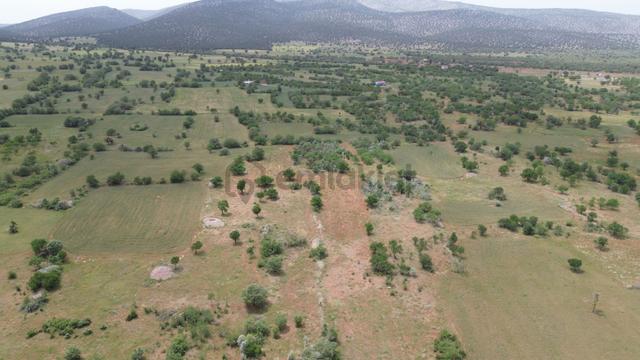 Akören Karahüyük De 3.817 M2 Müstakil Tapulu Bağ 2