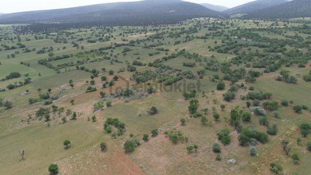 Akören Karahüyük De 3.817 M2 Müstakil Tapulu Bağ 5